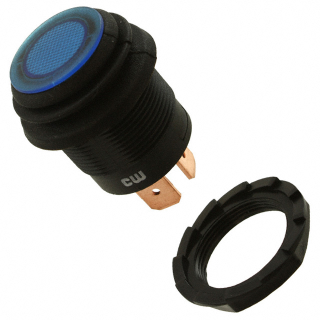 CW Industries_GPB553B2L01BU