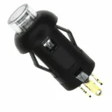 E-Switch_LP1OA1AG_SWITCH PUSH SPST-NO 0.1A 30V