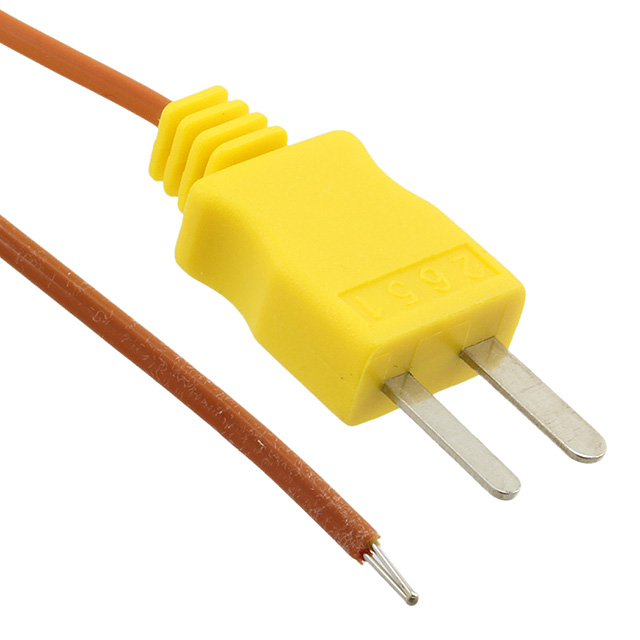 Fluke Electronics_80PK-1