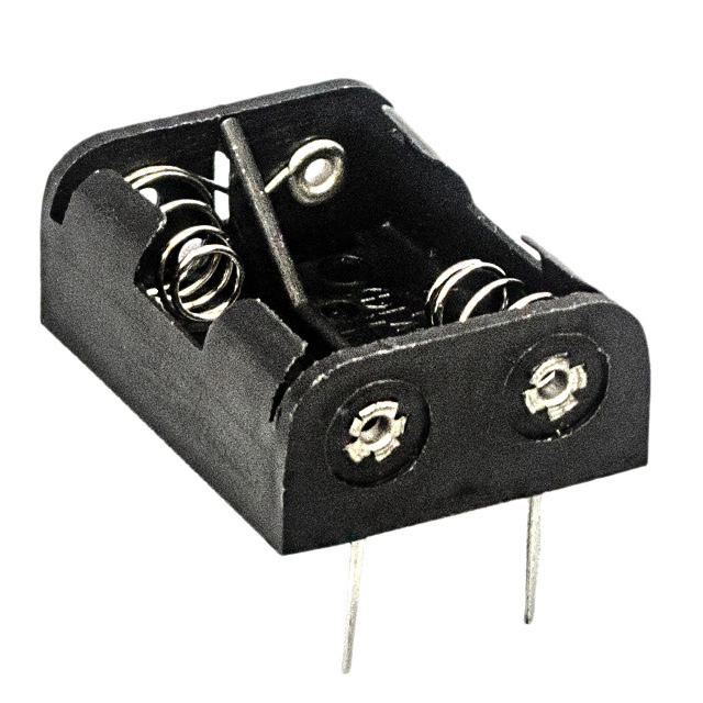 Memory Protection Devices_BH2NPC