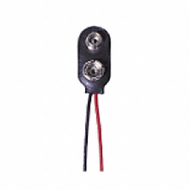 Memory Protection Devices_BS4I