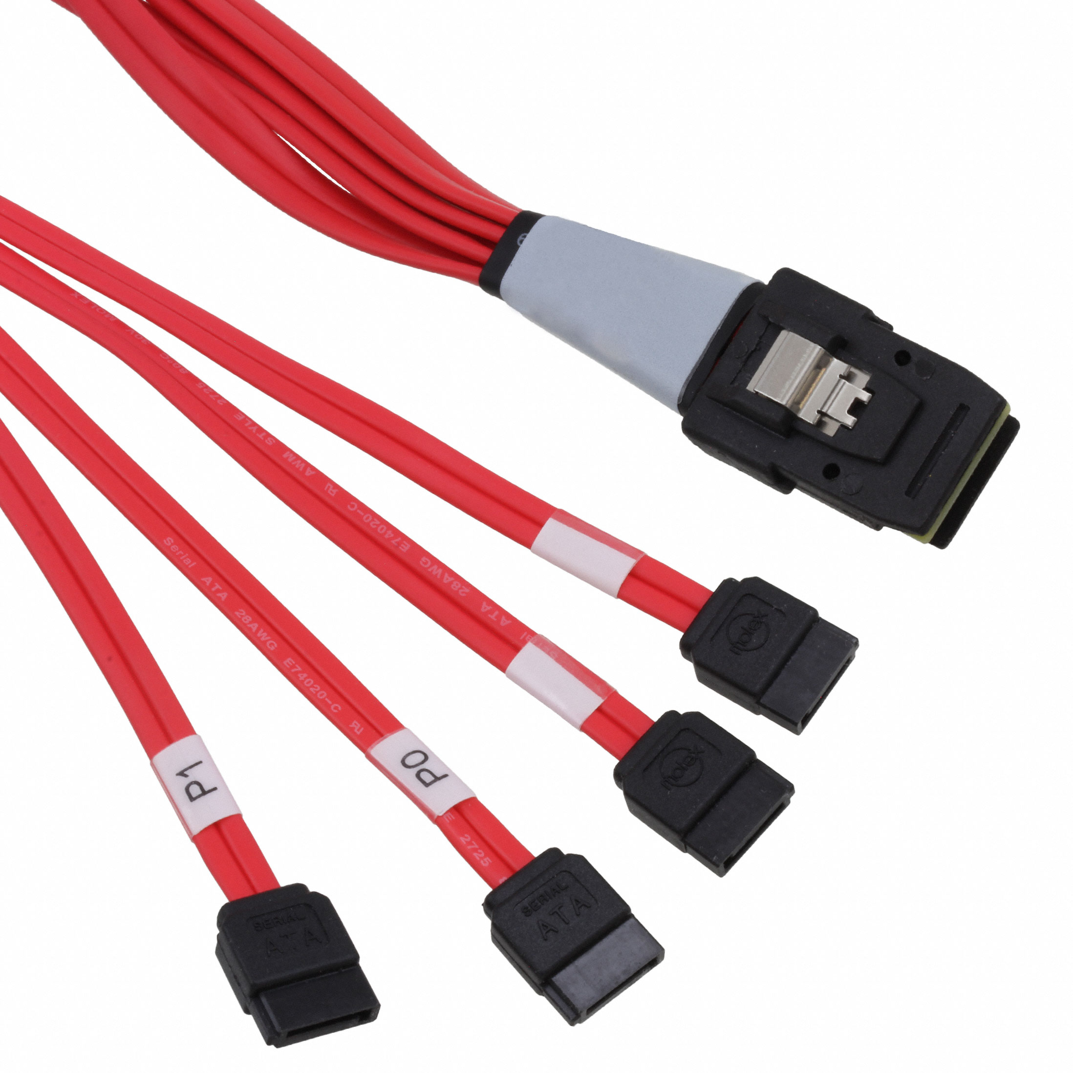 Molex_0795763005