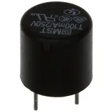 SCHURTER_0034.6605_PTC Fuse, 100mA, 250V, Time Delay, Radial, 8.5mm, Thermoplastic