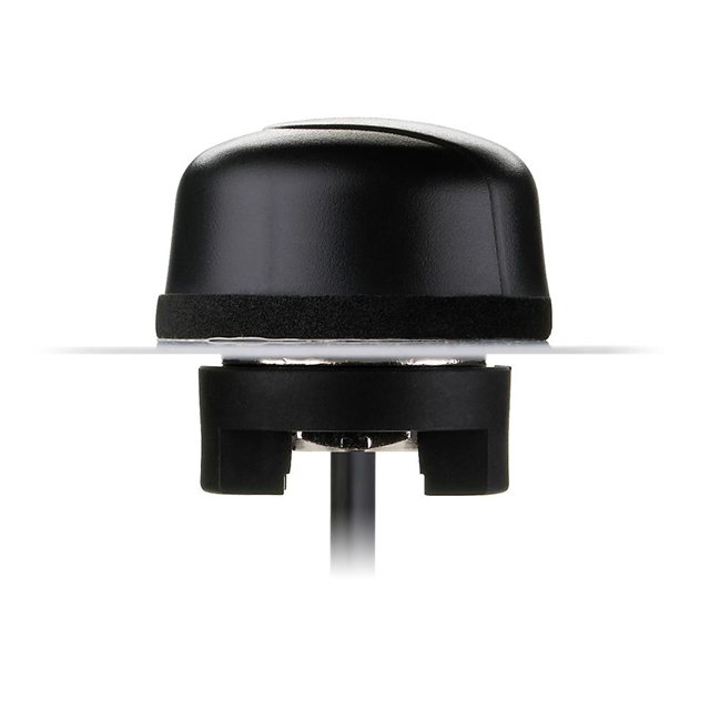 Taoglas_G21.B.301111