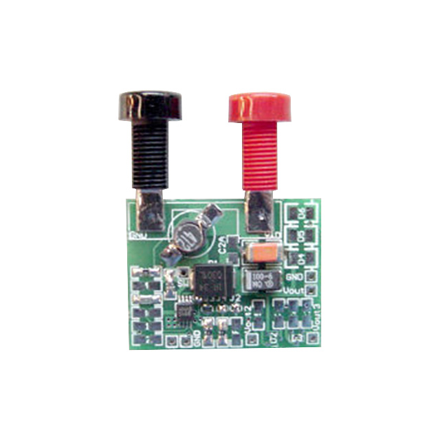 Texas Instruments_LM2623EV