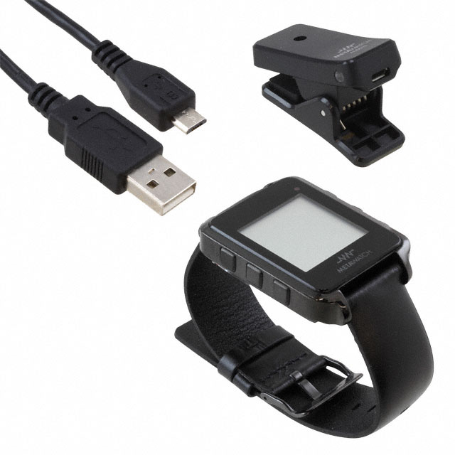 Texas Instruments_MSP-WDS430BT2000D
