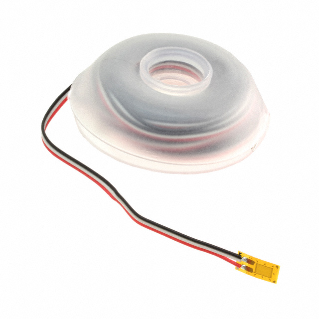 VPG Micro-Measurements_MMF017059