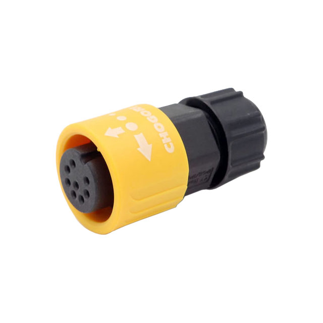 Chogori Technologies_23008231-01