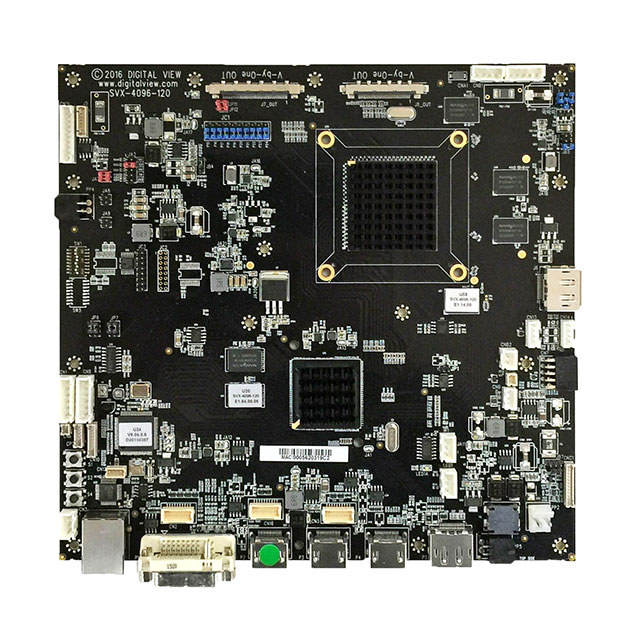 Digital View Inc._4175900XX-3