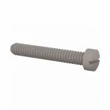 Essentra Components_011024F125_FILLISTER SLOTTED SCREW 10-24