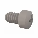 Essentra Components_011024WF031_FILLISTER PHILLIPS SCREW 10-24