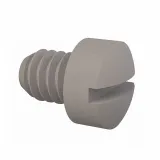 Essentra Components_012520F031_FILLISTER SLOTTED SCREW 1/4-20