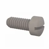 Essentra Components_012520F062_FILLISTER SLOTTED SCREW 1/4-20