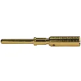 HARTING_21011009924_M12 POWER CONTACT, MALE, 23.2MM,