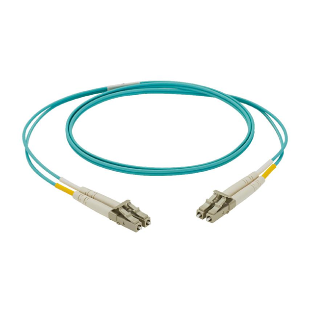 Panduit Corporation_NKFPX2ELLLSM011