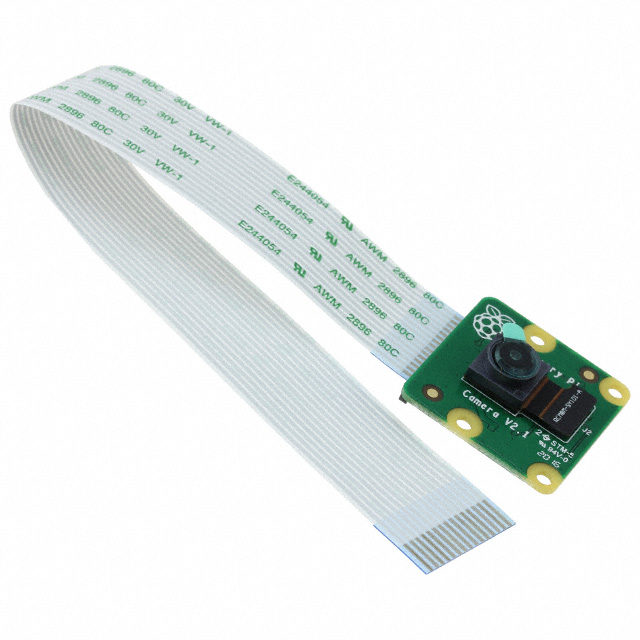 Raspberry Pi_SC0023