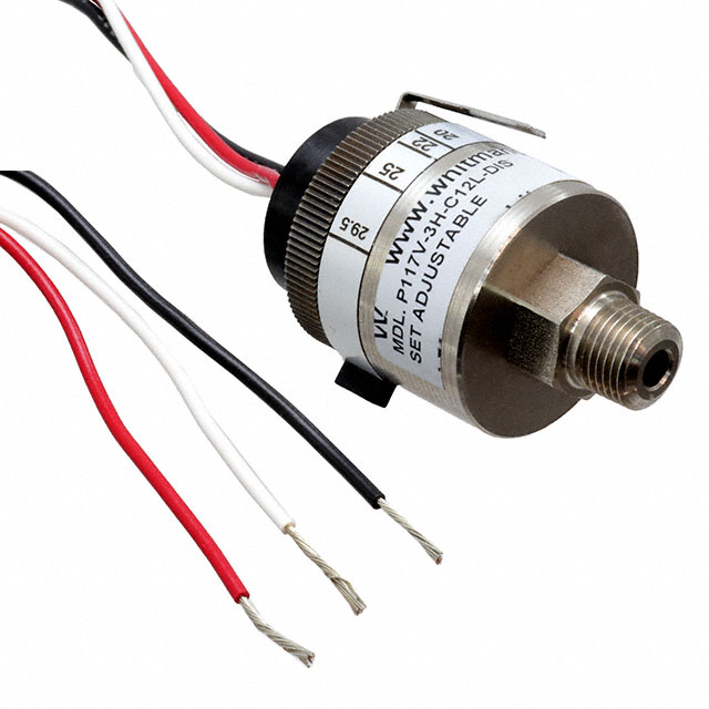 Whitman Controls_P117V-3H-C12L-DIS