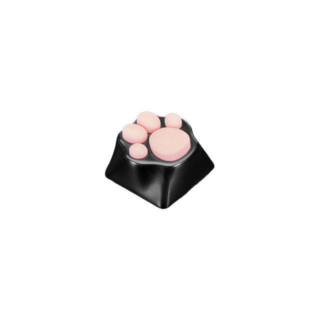 Adafruit_4971