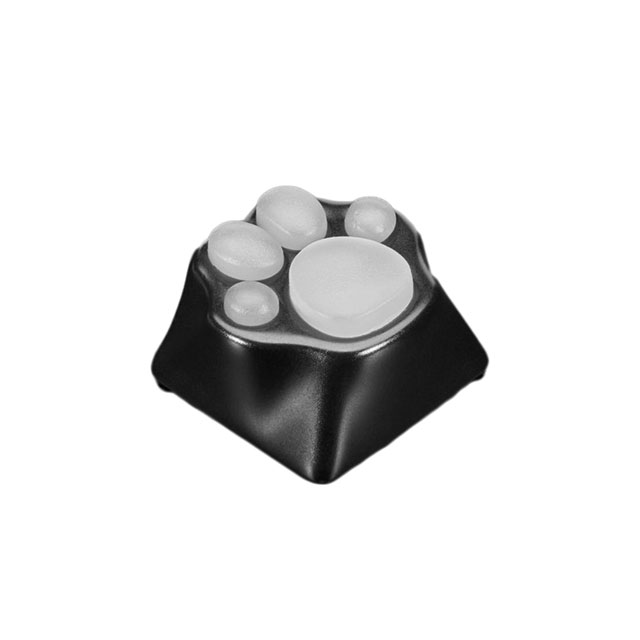 Adafruit_4972