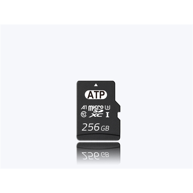 ATP Electronics, Inc._AF256GUD4-BBAXM