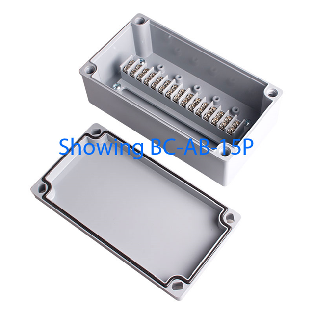 BoxCo Industries_BC-AGG-10P