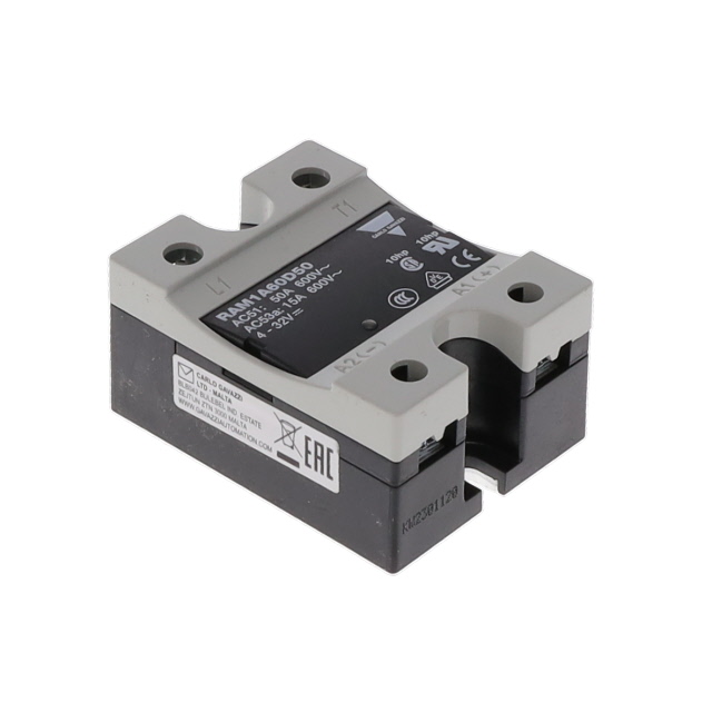 Carlo Gavazzi_RAM1A60D50