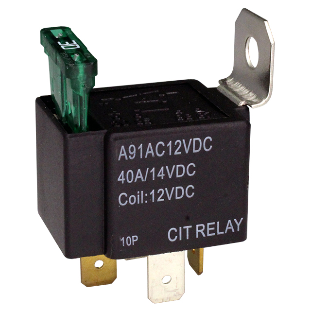 CIT Relay and Switch_A91AC12VDC