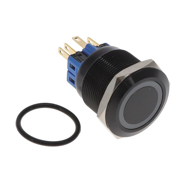 CIT Relay and Switch_DH251LBBGN