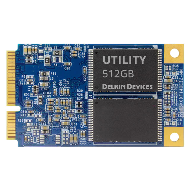 Delkin Devices_MD5HFLGFC-3N000-2