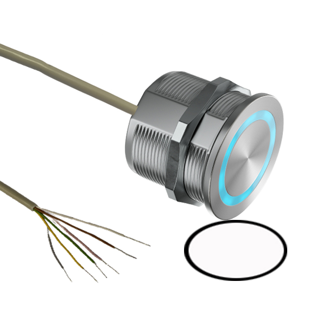 Everswitch_SBR11ABC8121N