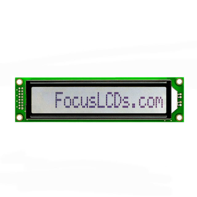 Focus LCDs_C161C-FTW-LW65