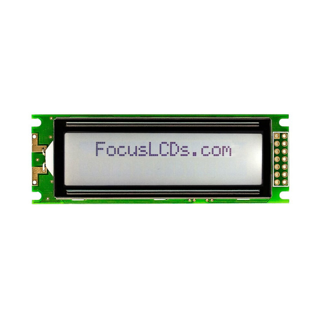 Focus LCDs_C162C-FTW-LW65