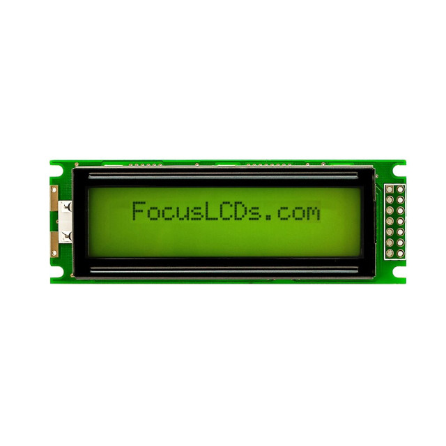 Focus LCDs_C162C-YTY-LW65