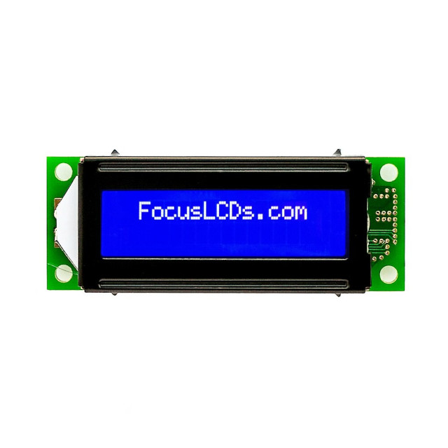 Focus LCDs_C162E-BW-LW65
