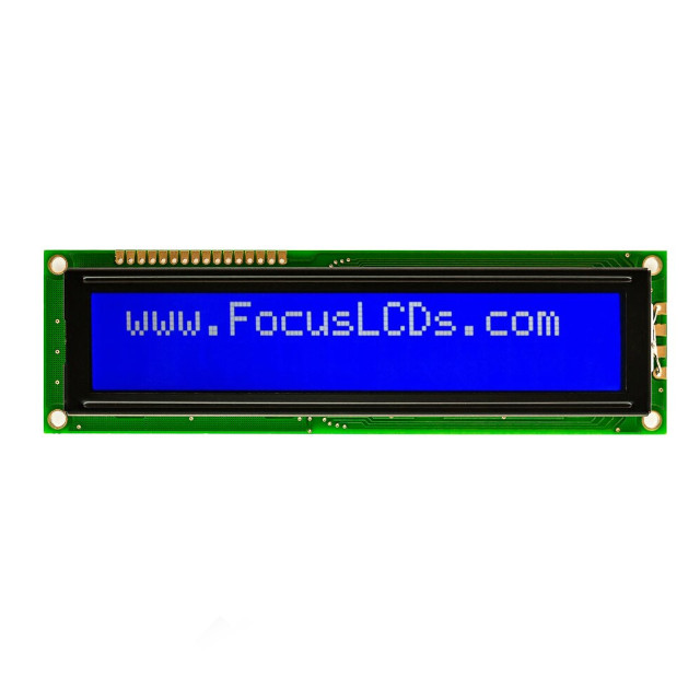 Focus LCDs_C202C-BW-LW65