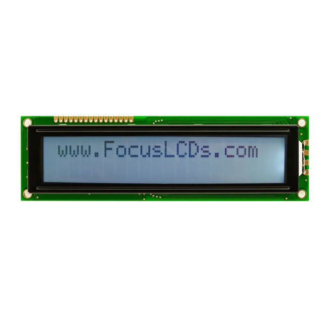 Focus LCDs_C202C-FTW-LW65