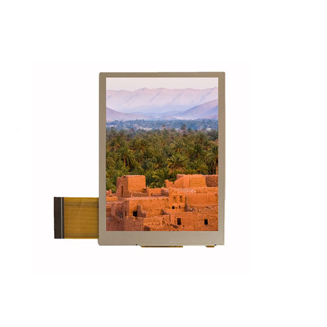 Focus LCDs_E24RB-FW360-N