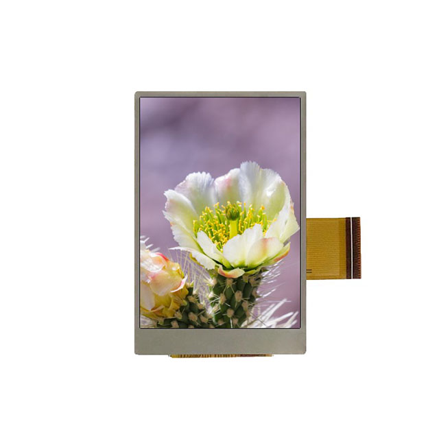 Focus LCDs_E26RB-FS500-N
