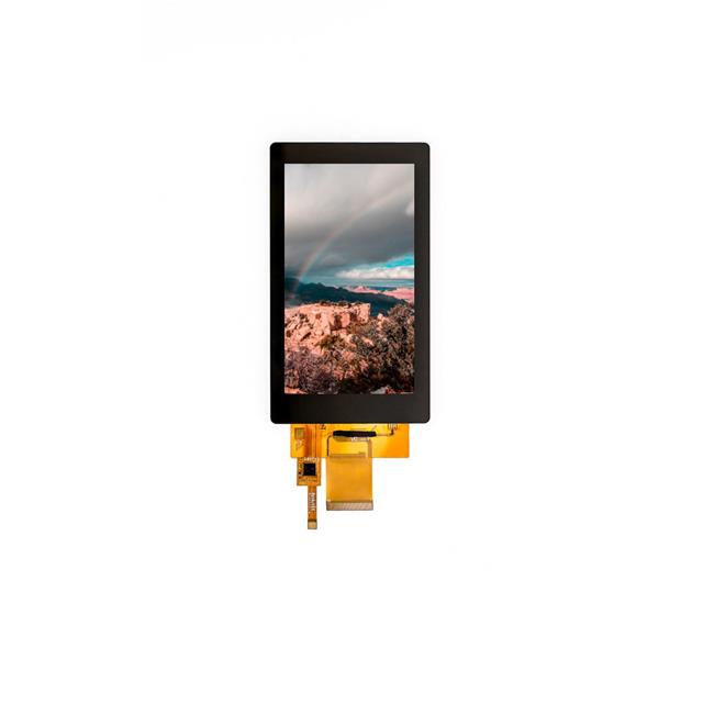 Focus LCDs_E50RA1-FW500-C