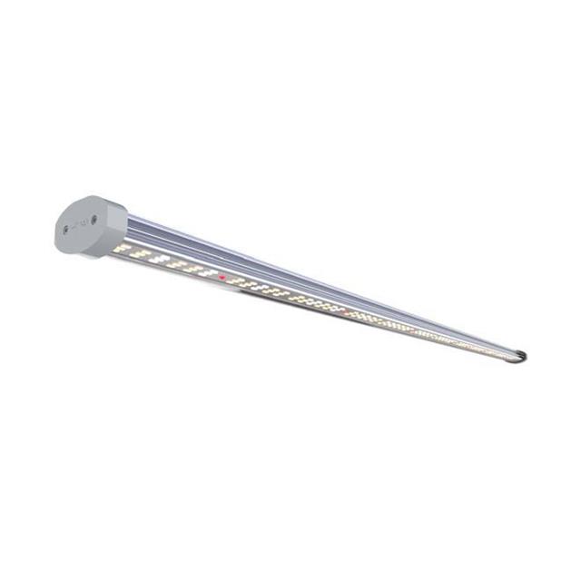ILUMINAR Lighting_IL-2325FSG-120