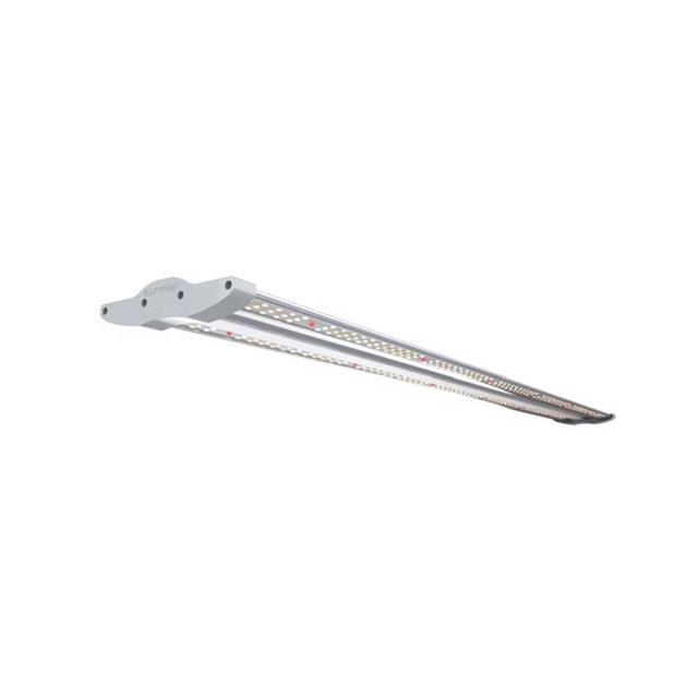 ILUMINAR Lighting_IL-4025FSG-120