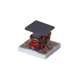 Mini-Circuits_SBTC-2-10X+_RF PWR DVDR 5MHZ-1GHZ 6SMD