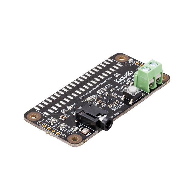 Raspberry Pi_SC0366