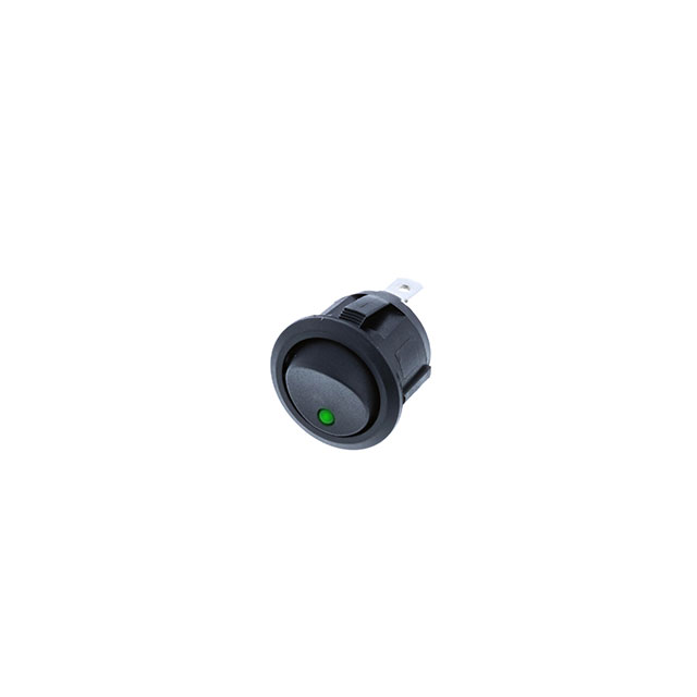 Switch Components_RA2-1A-DC-2-GL