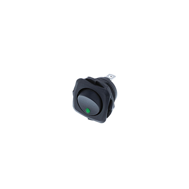 Switch Components_RB2-1A-DC-2-GL