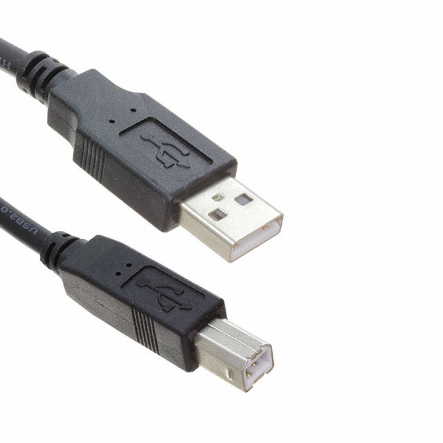 Adam Tech_CA-USB-AM-BM-6FT