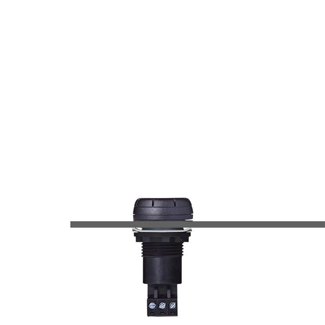 Auer Signal_812510405