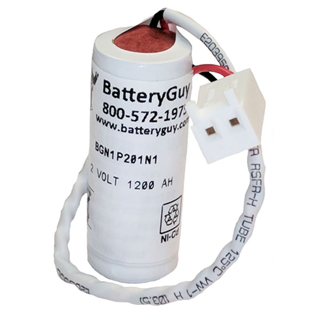 BatteryGuy_BGN1P201N1