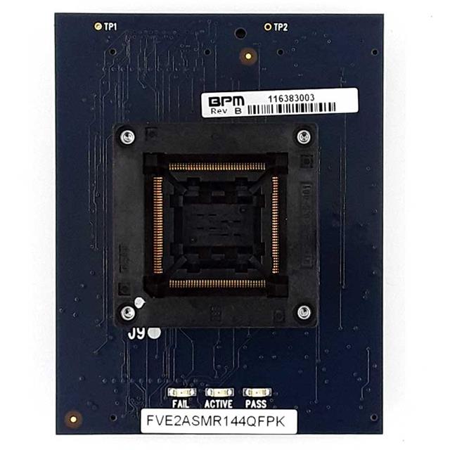 BPM Microsystems_FVE2ASMR144QFPK