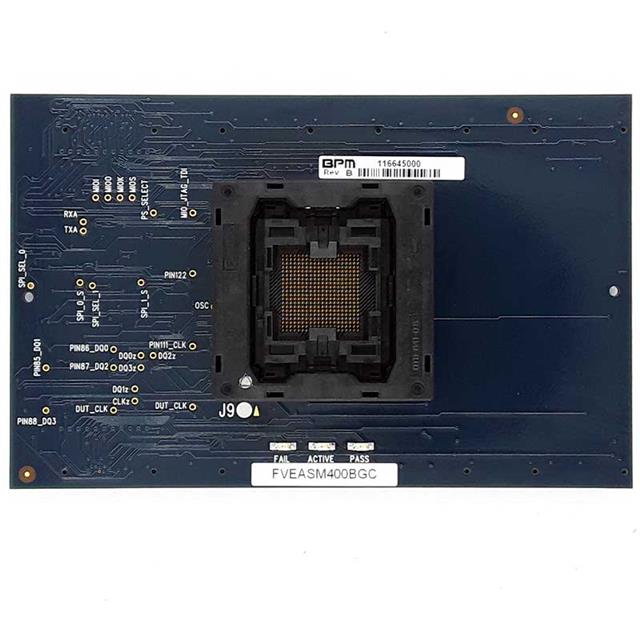 BPM Microsystems_FVE2ASMR324BGR